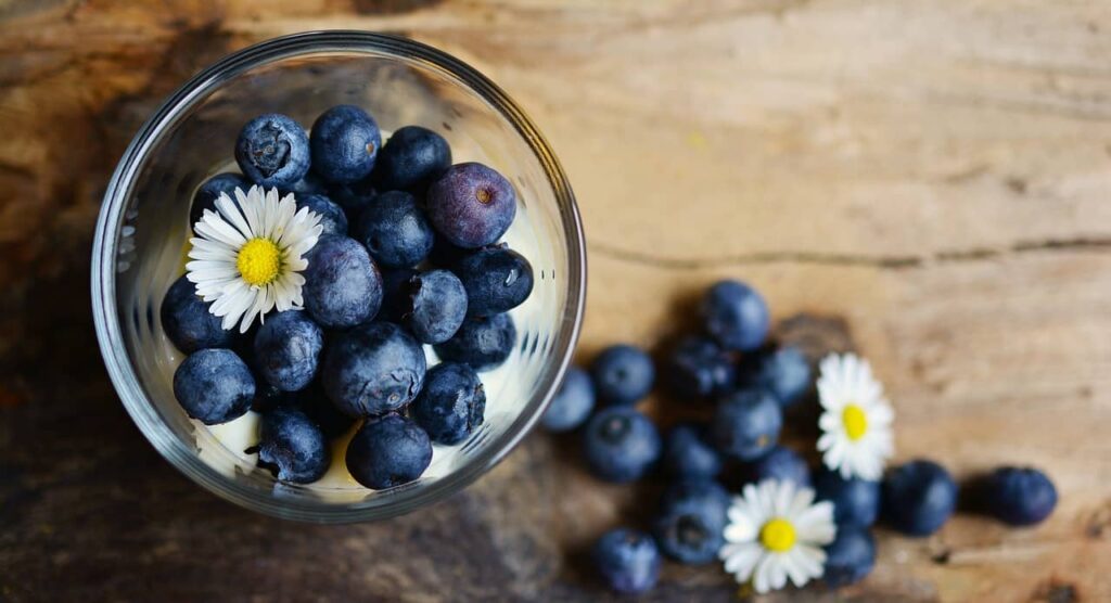 6 Amazing Blueberry Benefits for your Skin