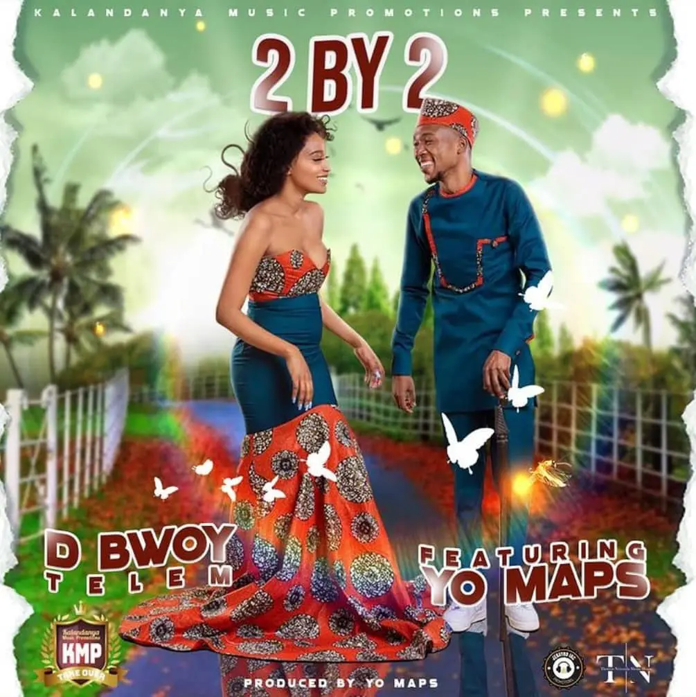 D Bwoy Telem - 2baba ft Yo Maps [zambianface.com]