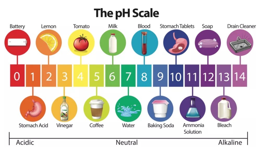 pH Scale Baking Soda and Vinegar