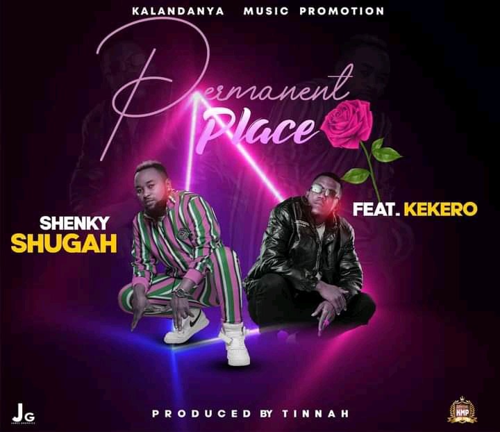 Download: Shenky ft. Kekero - "Permanent Place" MP3