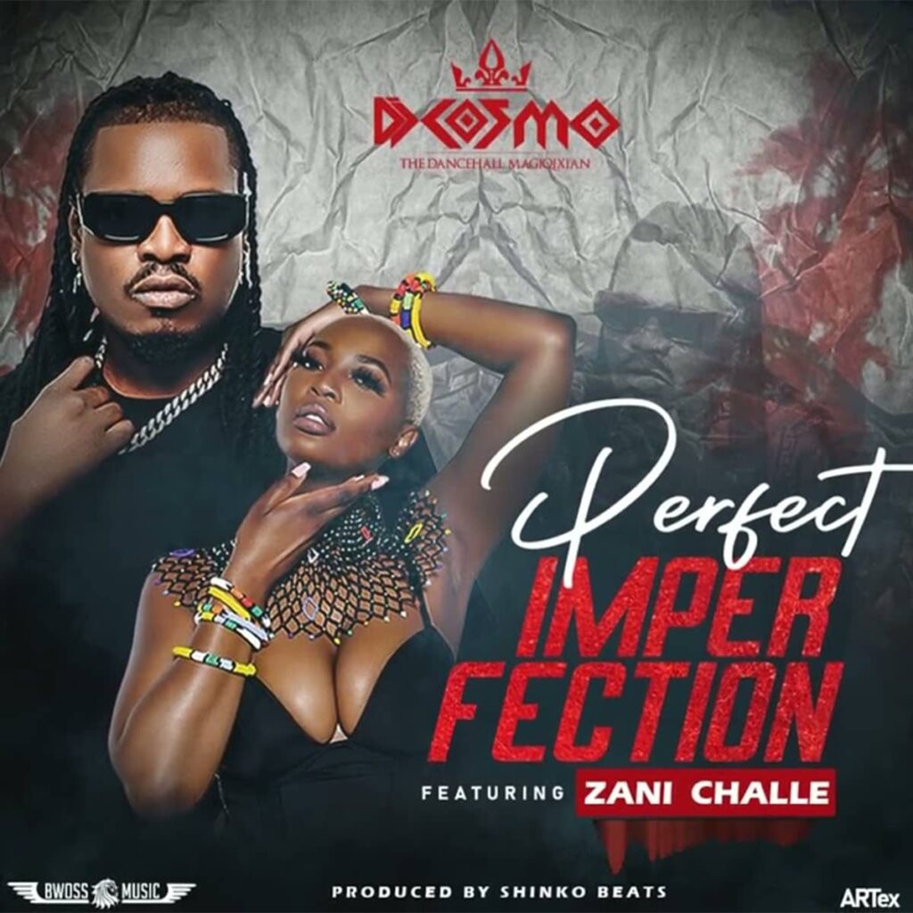 Dj Cosmo ft Zani Challe - Perfect Imperfection MP3 Download
