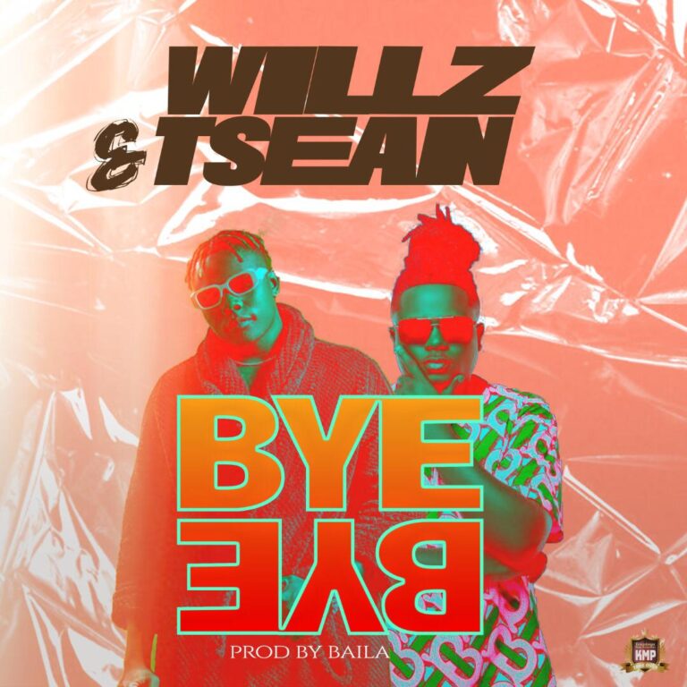 Download Willz ft T-Sean - Bye Bye MP3 Download