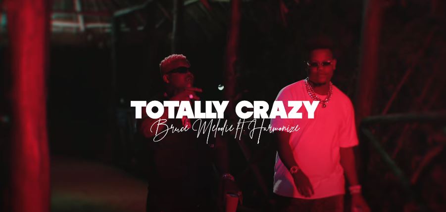 Download Bruce Melodie ft Harmonize - Totally Crazy MP3 Download