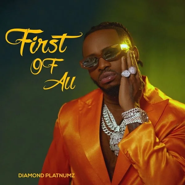 Download Diamond Platnumz Somebody MP3 Download