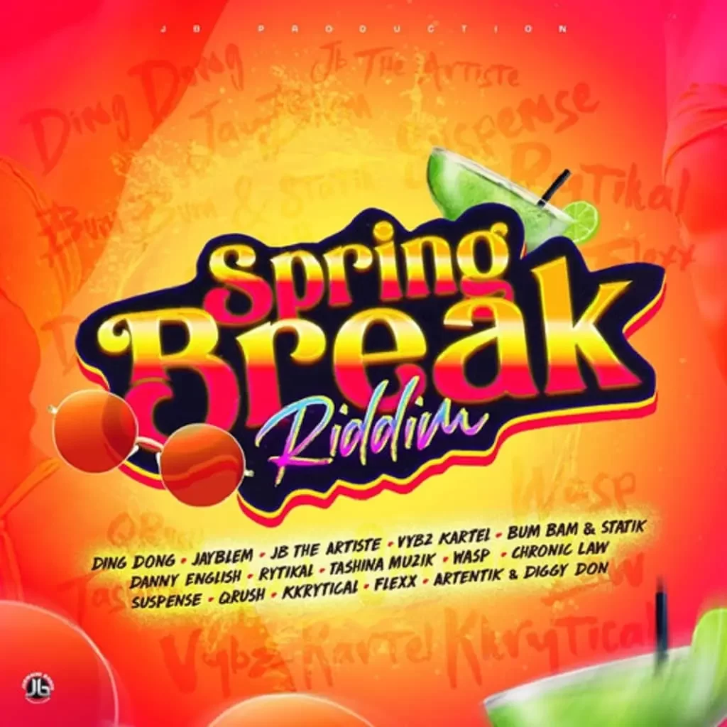 Download Vybz Kartel Money Bag MP3 Download Spring Break Riddim