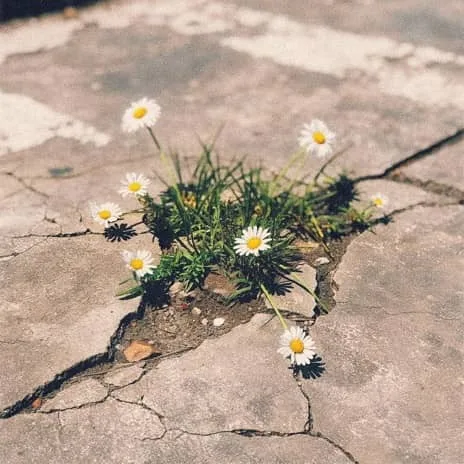 Mighty Name of Jesus MP3 Download - Song by The Belonging Co ft. Hope Darst I draw a permanent boundary line, The enemy has no rights to come near my family, No scheme could ever undo God’s plans, No matter the circumstance, The cross has sealed my destiny, In the mighty name of Jesus, I pray, calling on the power of heaven, I proclaim Every weapon formed against me, must break In the mighty name of Jesus