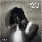 Who Does That by Fola MP3 Download . Ft. Bella Shmurda. Released in 2024. Audio Below:
