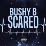 Scared by Bushy B MP3 Download Audio - Bushy B Scared MP3 Download
