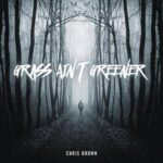 Chris Brown Grass Ain't Greener MP3 Download Audio | Grass Ain't Greener Chris Brown MP3 Download