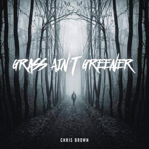 Chris Brown Grass Ain't Greener MP3 Download Audio | Grass Ain't Greener Chris Brown MP3 Download