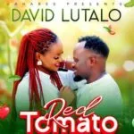 Red Tomato by David Lutalo Red Tomato by David Lutalo MP3 Download Audio | David Lutalo - Red Tomato MP3 Download