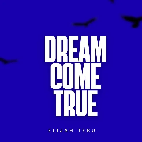 Elijah Tebu I'm Proud Of Me by Elijah Tebu MP3 Download Audio - Elijah Tebu I'm Proud of Me MP3 Download - Released the song "I'm Proud of me" on September 24, 2025, as part of the Dream Come True EP.