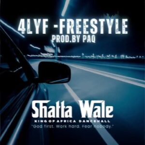 Shatta Wale - 4lYF (Freestyle) MP3 Download