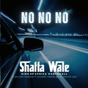Shatta Wale - No No No MP3 Download