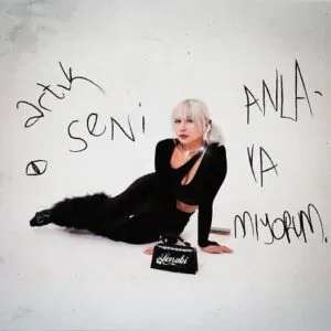 Lenabi - Harcadın MP3 indir