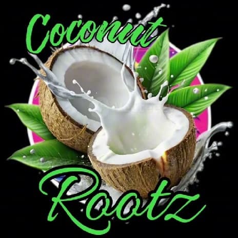 What Can I Do to Make you Understand Song MP3 Download Coconut Rootz - My Everything MP3 Download