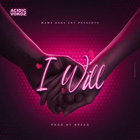 I Will by Acidic Vokoz