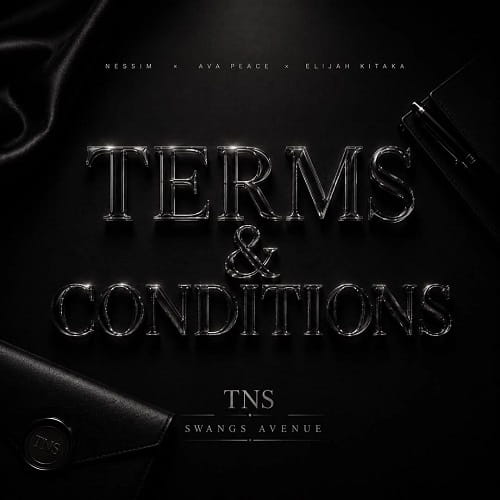 Download Terms and Conditions by Ava Peace MP3 Audio ft. Nessim & Elijah Kitaka is 2026's must-hear Ugandan song — heartbreak, love rules, and irresistible melody. Listen now!